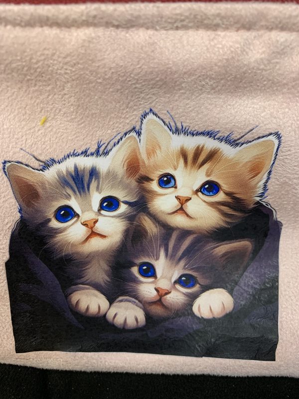 Pochette Chatons