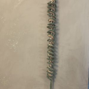 Spirale du vent - Brise